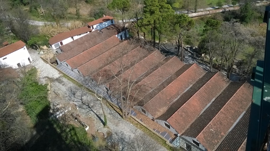 edessa-kannabi3.jpg edessa-kannabi3.jpg