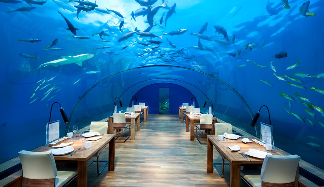 ithaa-undersea-restaurant-1063x614.jpg