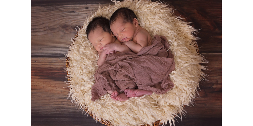 twins-1628843_1280.jpg twins-1628843_1280.jpg