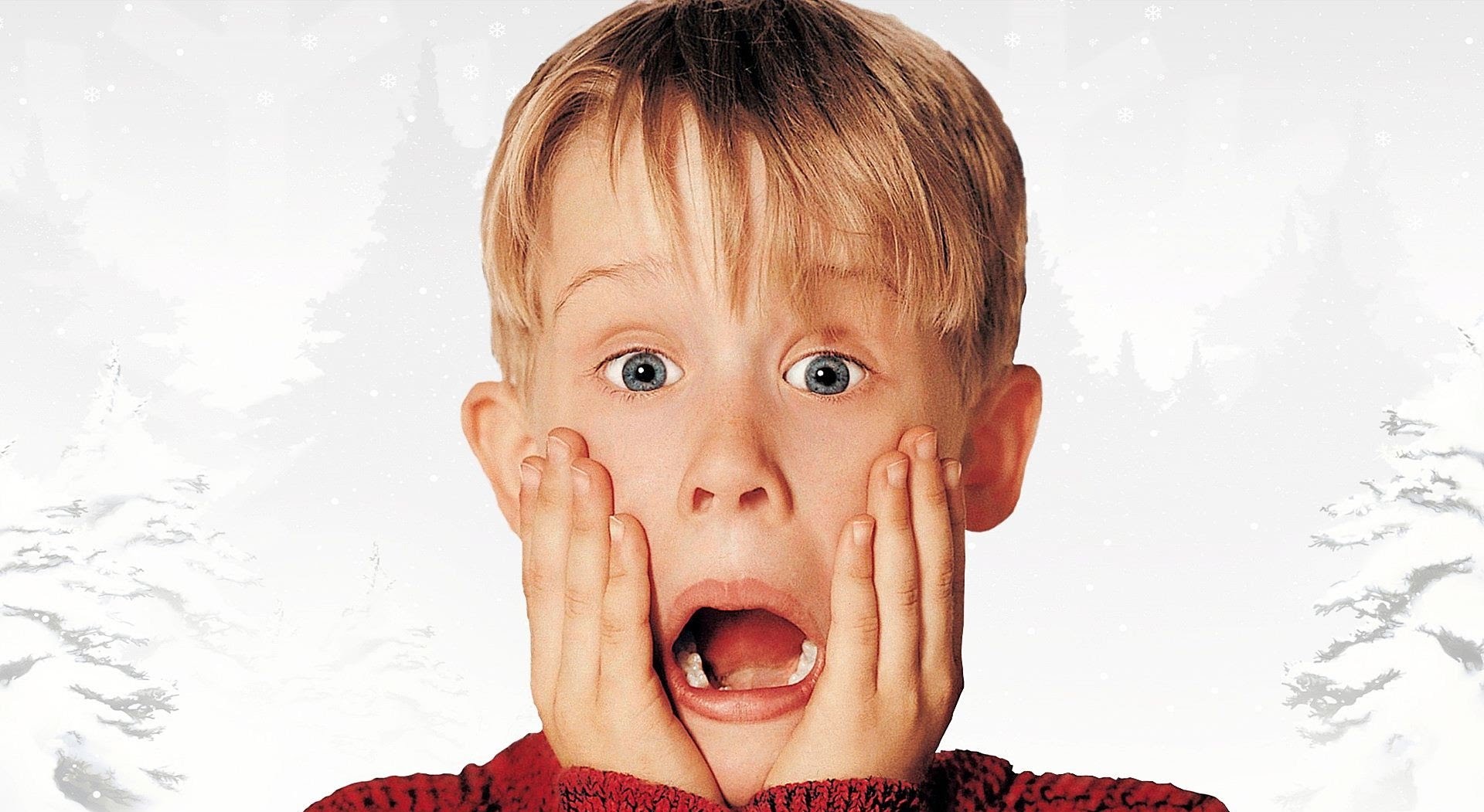 home-alone.jpg home-alone.jpg