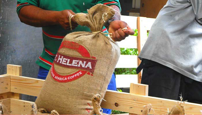 5.helena-coffee.jpg 5.helena-coffee.jpg
