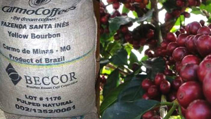 7.fazenda.jpg 7.fazenda.jpg