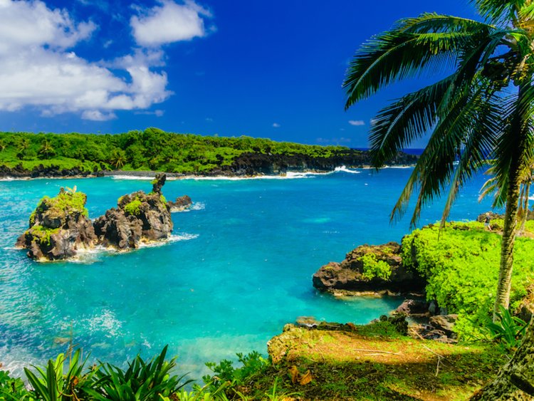 maui.jpg maui.jpg