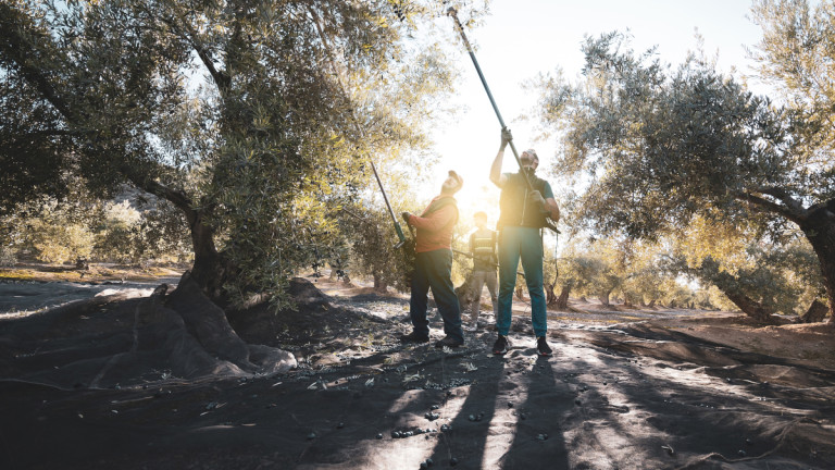 Φωτογραφία: Shutterstock