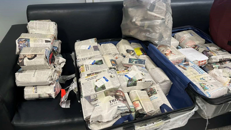 Τα πούρα που κατασχέθηκαν από την ΑΑΔΕ