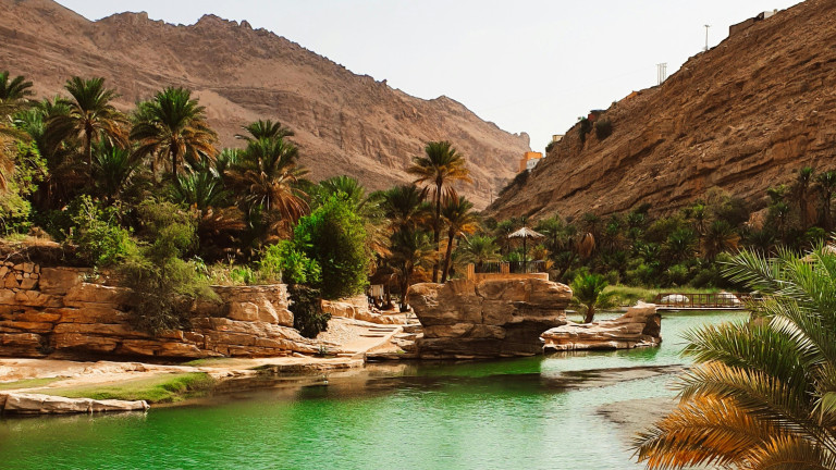 Η Σαουδική Αραβία «πρασινίζει» την έρημο /Φώτο: UNSPLASH