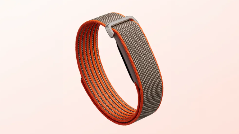 Fitbit Air