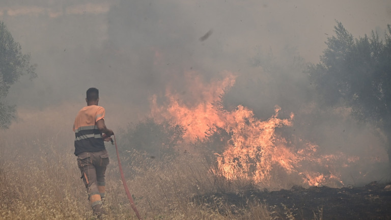 Πυρκαγιά στη Βοιωτία