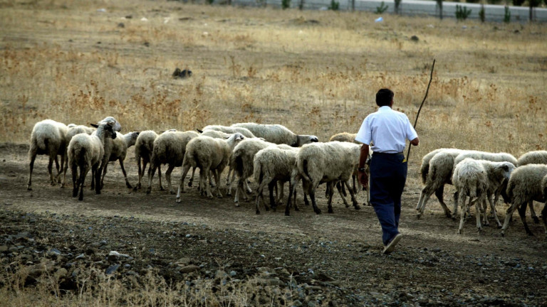 Κτηνοτρόφοι