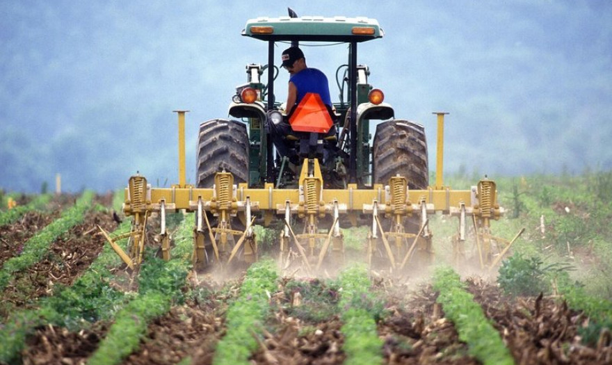 Ο αγροδιατροφικός τομέας θα ανοίξει 260.000 θέσεις εργασίας