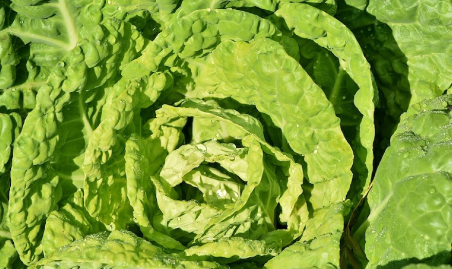 Îι δÎκα ÏÏοÏÎÏ ÏοÏ
νικοÏν Ïον ÏÏÏνο και ÏαÏίζοÏ
ν ζÏή