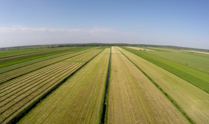 Το success story της ελληνικής Agroknow