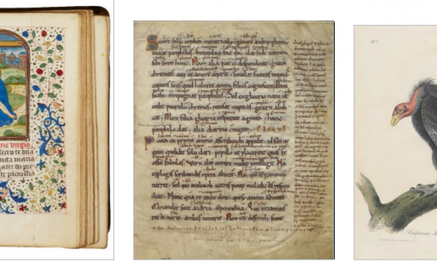 Ο οίκος Sotheby's και η επιστροφή 600 τόμων στη Βόννη