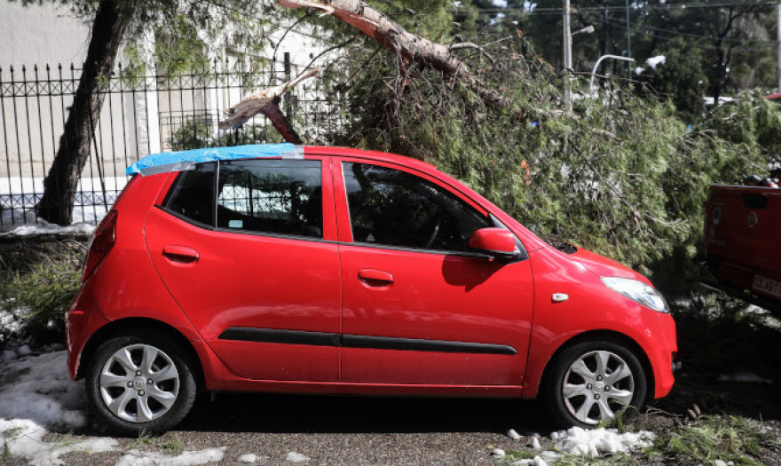 “Μήδεια”: Στα 5,5 εκατ, ευρώ οι απαιτήσεις αποζημιώσεων στις ασφαλιστικές εταιρείες