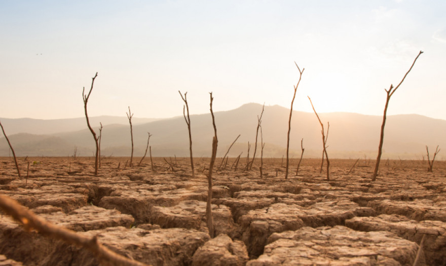 Λυκουρέντζος (ΕΛΓΑ): Σοβαρές οι επιπτώσεις της κλιματικής αλλαγής στον πρωτογενή τομέα