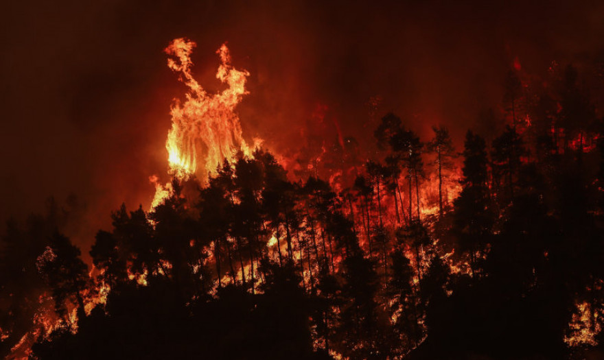 Κλίμα: Τα τελευταία 20 χρόνια διπλασιάστηκε παγκοσμίως η επιφάνεια των δασών που καταστρέφεται από τις πυρκαγιές	