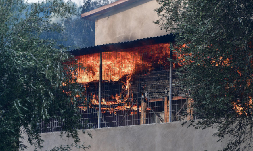 Συνολικά 235 ασφαλισμένες ζημιές από τις δασικές πυρκαγιές 17-28 Ιουλίου 2023	