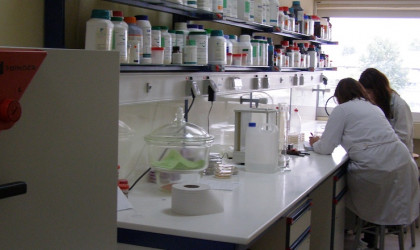 Στη Θεσσαλία καλλιεργούν φαρμακευτικά μανιτάρια