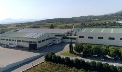 Ελληνικά ντολμαδάκια από την Αμερική ως το Ιράν!