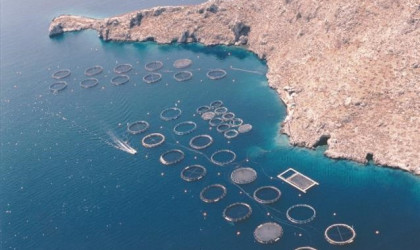 Σελόντα: Αποφάσισε τη μη διανομή μερίσματος