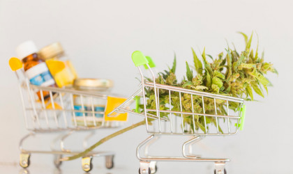 Πόσο κοστίζει να ανοίξετε το δικό σας cannabi shop