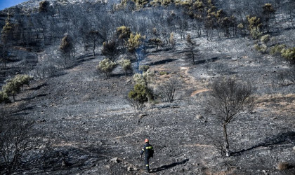 13 μέτρα για την ενίσχυση των πυρόπληκτων περιοχών του Έβρου