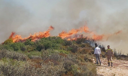 Πυρκαγιά στο Κρυονέρι: Εντοπίστηκε νεκρός, σε χαράδρα
