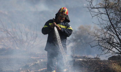 Υπό μερικό έλεγχο η φωτιά στον Βύρωνα 