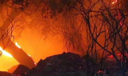 Κάηκε η Μόρια - Στον δρόμο χιλιάδες μετανάστες