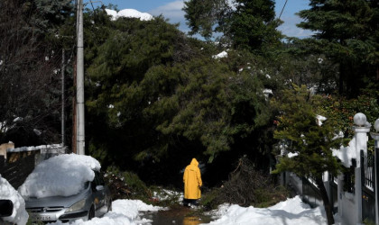 Γιατί το χιόνι της «Μήδειας» έσπασε τόσα πολλά δέντρα