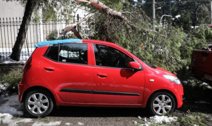 “Μήδεια”: Στα 5,5 εκατ, ευρώ οι απαιτήσεις αποζημιώσεων στις ασφαλιστικές εταιρείες