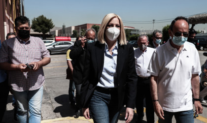 «Πυρά» κατά της κυβέρνησης από τη Φώφη Γεννηματά για την κατάργηση του ΣΕΠΕ