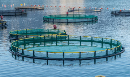ΥΠΑΑΤ: Οικονομική ενίσχυση στους υδατοκαλλιεργητές λόγω COVID-19