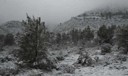 Σάκης Αρναούτογλου: Τι εκτιμά για τις χιονοπτώσεις τον χειμώνα