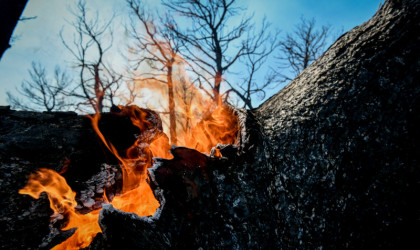 Τα Ηνωμένα Εθνη προειδοποιούν για αύξηση 30% των δασικών πυρκαγιών μέχρι το τέλος του 2050