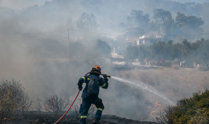 ΥΠΑΑΤ: Συνολικά 50.000 ελαιόδεντρα και 2.500 ζώα «χάθηκαν» από τη φωτιά στη Ρόδο