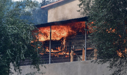 Συνολικά 235 ασφαλισμένες ζημιές από τις δασικές πυρκαγιές 17-28 Ιουλίου 2023	