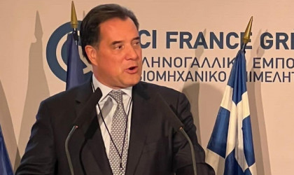 Γεωργιάδης: Πολύ ισχυρές οι εμπορικές και οι οικονομικές σχέσεις Ελλάδας - Γαλλίας