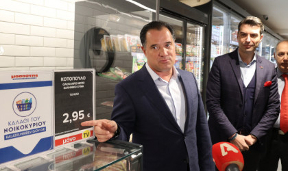 Γεωργιάδης: Για 15η εβδομάδα η μέση τιμή στο «Καλάθι του Νοικοκυριού» παραμένει σταθερή