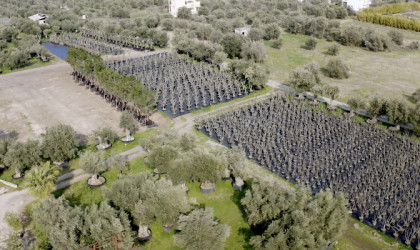 LAMDA Development: Επιχείρηση μεταφύτευσης 3.000 δέντρων υλοποιείται στο Ελληνικό	