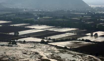ΕΕ: Ενέκρινε κρατικές ενισχύσεις 80 εκατ. ευρώ για τις φυσικές καταστροφές του αγροτικού τομέα στην Ελλάδα
