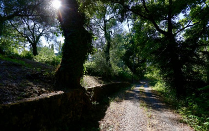 Antico Rosso, το κτήμα στην Κέρκυρα με το μοναστηριακό κτίριο που πωλείται για 8 εκατ. ευρώ