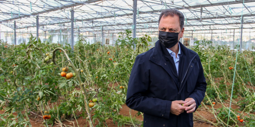 Λιβανός: Επτά μέτρα στήριξης για τους αγρότες