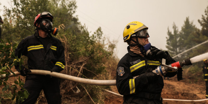 ΕΛΓΑ: Οι ενισχύσεις για τις δενδροκαλλιέργειες που επλήγησαν από τις πυρκαγιές
