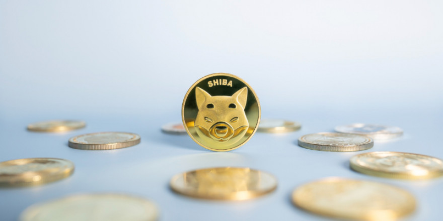 To Shiba Inu ανέβηκε κατά 50% - Ράλι και για τα άλλα meme coins