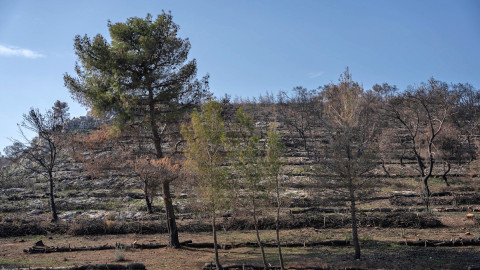 ΤΕΡΝΑ, Μάνδρα Αττικής