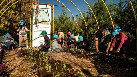 ΔΕΗ και Open Farm προωθούν τη βιώσιμη γεωργία στους μαθητές μέσω του “Carbon Farming Schools”