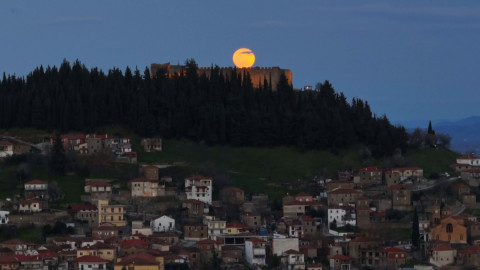 Καρδίτσα