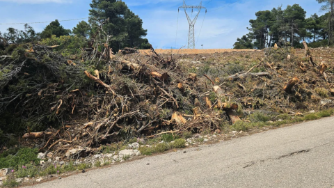 Καθαρισμός οικοπέδων