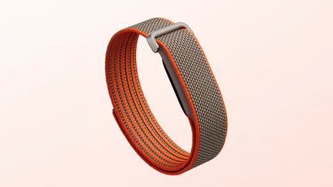 Fitbit Air